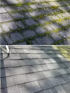 imgi 160 shingles before after